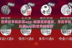 世界杯手机彩票app-畅游足球盛宴，尽在手机彩票app的世界杯奇旅
