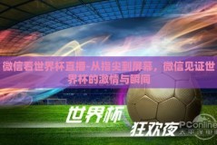 微信看世界杯直播-从指尖到屏幕，微信见证世界杯的激情与瞬间