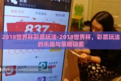 2018世界杯彩票玩法-2018世界杯，彩票玩法的乐趣与策略探索