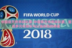 中国官方世界杯彩票-中国官方世界杯彩票，塑造多元化娱乐与公益双赢的桥梁