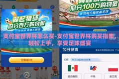 支付宝世界杯怎么买-支付宝世界杯购买指南，轻松上手，享受足球盛宴