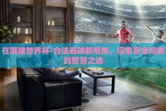 在哪赌世界杯-合法看球新视角，探索安全观赛的智慧之选