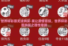 世界杯彩票无法购买-莫让激情盲投，世界杯彩票购买之理性审视