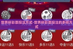世界杯彩票投注方式-世界杯彩票投注的多样方式