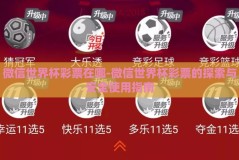 微信世界杯彩票在哪-微信世界杯彩票的探索与安全使用指南