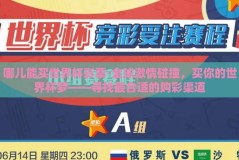 哪儿能买世界杯彩票-全球激情碰撞，买你的世界杯梦——寻找最合适的购彩渠道