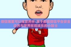 微信哪里可以赌世界杯-关于解密微信平台安全边界与世界杯观球乐的小贴士