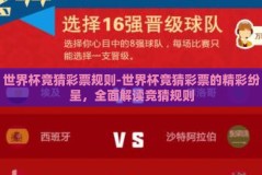 世界杯竞猜彩票规则-世界杯竞猜彩票的精彩纷呈，全面解读竞猜规则