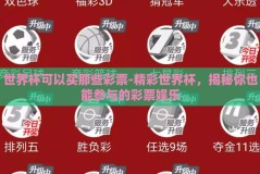 世界杯可以买那些彩票-精彩世界杯，揭秘你也能参与的彩票娱乐