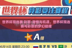 世界杯预选赛 彩票-激情与机遇，世界杯预选赛与彩票的梦幻碰撞