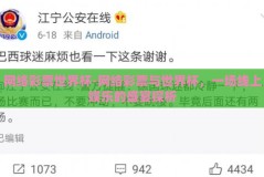 网络彩票世界杯-网络彩票与世界杯，一场线上娱乐的盛宴探析