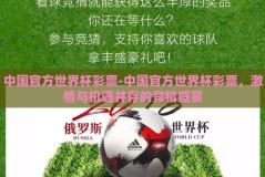 中国官方世界杯彩票-中国官方世界杯彩票，激情与机遇并存的竞猜盛宴