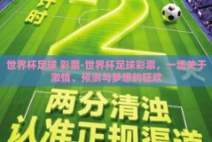 世界杯足球 彩票-世界杯足球彩票，一场关于激情、预测与梦想的狂欢