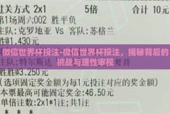 微信世界杯投注-微信世界杯投注，揭秘背后的挑战与理性审视