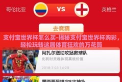 支付宝世界杯怎么买-揭秘支付宝世界杯购彩，轻松玩转这届体育狂欢的万花筒