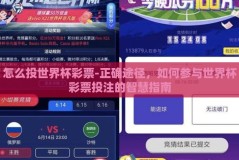 怎么投世界杯彩票-正确途径，如何参与世界杯彩票投注的智慧指南