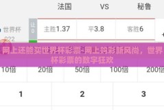 网上还能买世界杯彩票-网上购彩新风尚，世界杯彩票的数字狂欢