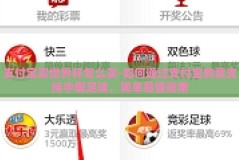 支付宝买世界杯怎么买-如何通过支付宝购票支持中国足球，简单易懂指南