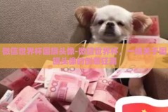 微信世界杯国旗头像-微信世界杯，一场关于国旗头像的创意狂潮