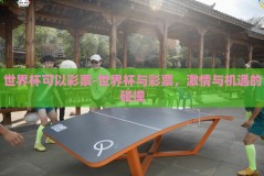 世界杯可以彩票-世界杯与彩票，激情与机遇的碰撞
