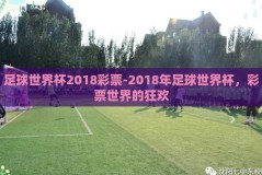 足球世界杯2018彩票-2018年足球世界杯，彩票世界的狂欢