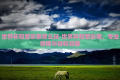 世界杯冠军彩票怎么玩-世界杯冠军彩票，专业指南与独特洞察