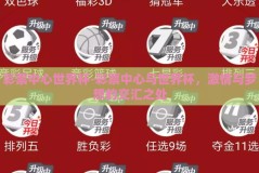 彩票中心世界杯-彩票中心与世界杯，激情与梦想的交汇之处