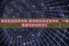 微信能买世界杯吗-使用微信购买世界杯，一场便捷与担忧的交汇