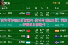 世界杯好用的彩票软件-世界杯激情观战，首选好用的彩票软件