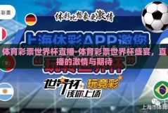 体育彩票世界杯直播-体育彩票世界杯盛宴，直播的激情与期待