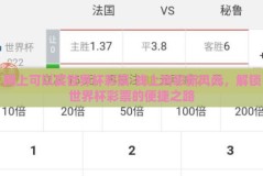 网上可以买世界杯彩票-线上购彩新风尚，解锁世界杯彩票的便捷之路