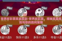 世界杯彩票奖金规则-世界杯彩票，揭秘奖金规则与你的胜利策略