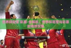 世界杯冠军 彩票-全解析，世界杯冠军与彩票的奇妙交集