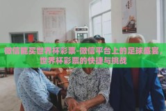 微信能买世界杯彩票-微信平台上的足球盛宴，世界杯彩票的快捷与挑战
