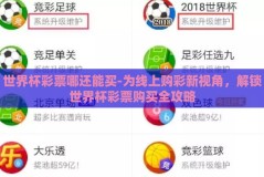世界杯彩票哪还能买-为线上购彩新视角，解锁世界杯彩票购买全攻略