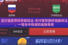 支付宝世界杯竞猜投注-支付宝世界杯竞猜投注，一笔年中热潮的金融奇谭