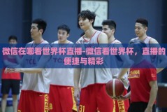微信在哪看世界杯直播-微信看世界杯，直播的便捷与精彩