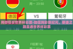 用微信买世界杯彩票-微信购彩新纪元，便捷之路直通世界杯彩票