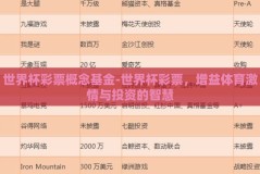 世界杯彩票概念基金-世界杯彩票，增益体育激情与投资的智慧