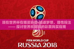 现在世界杯在哪买彩票-追逐梦想，理性投注 —— 探讨世界杯期间的彩票购买指南