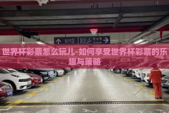 世界杯彩票怎么玩儿-如何享受世界杯彩票的乐趣与策略