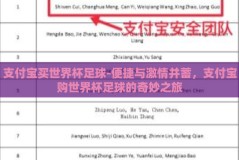 支付宝买世界杯足球-便捷与激情并蓄，支付宝购世界杯足球的奇妙之旅