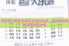 世界杯彩票奖金规则-世界杯彩票，解锁激情的秘钥与财富梦想