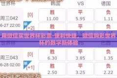 用微信买世界杯彩票-便利快捷，微信购彩世界杯的数字新体验