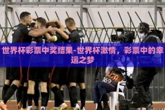 世界杯彩票中奖结果-世界杯激情，彩票中的幸运之梦