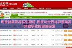 淘宝能买世界杯彩票吗-淘宝与世界杯彩票购买，一场数字化的冒险探索