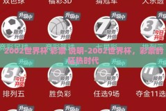 2002世界杯 彩票 说明-2002世界杯，彩票的狂热时代