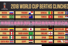世界杯比赛有彩票吗-世界杯赛场外的幸运之选