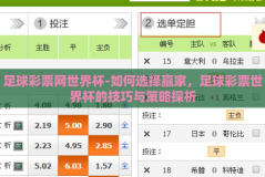 足球彩票网世界杯-如何选择赢家，足球彩票世界杯的技巧与策略探析