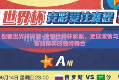 搜狐世界杯彩票-搜狐世界杯彩票，足球激情与智慧博弈的独特舞台